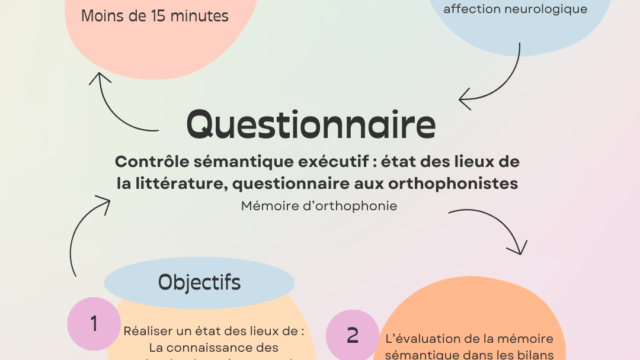 Contrôle sémantique exécutif : état des lieux de la littérature, questionnaire aux orthophonistes